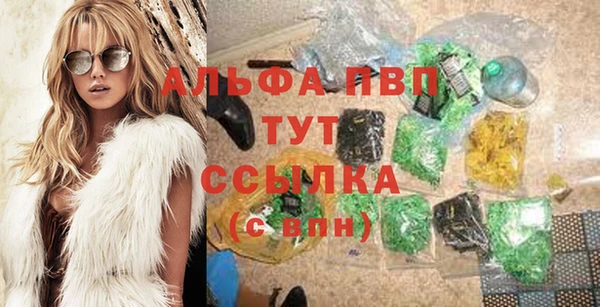 крисы Алзамай