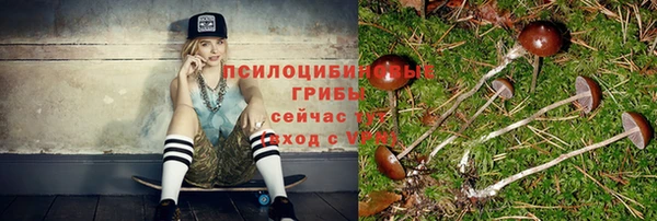 крисы Алзамай