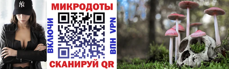 как найти   Лахденпохья  Псилоцибиновые грибы Magic Shrooms 